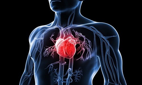 Nếu mắc các bệnh lý về tuyến giáp có thể gây suy tim