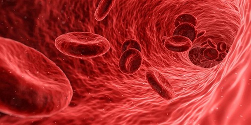 Máu nhân tạo: Nguồn cung máu vô tận tương lai?