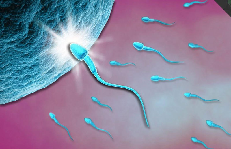 Các cặp vợ chồng vô sinh hiếm muộn nên thực hiện bơm tinh trùng vào tử cung
