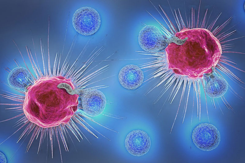 Xét nghiệm tế bào miễn dịch NK trong các trường hợp bị ung thư và sảy thai liên tiếp