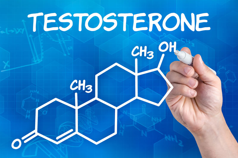 Testosterone quyết định ham muốn tình dục của nam giới