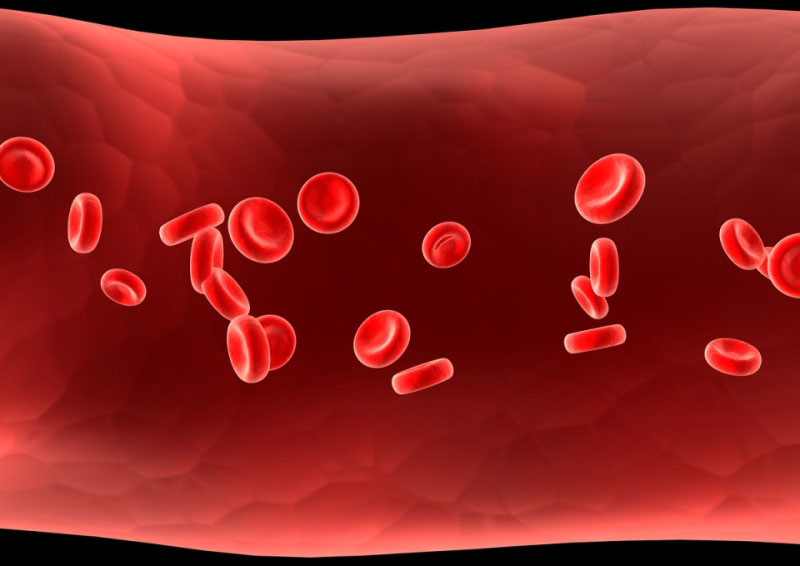 Thiếu máu là một trong những tình huống lâm sàng nên thực hiện xét nghiệm Ferritin