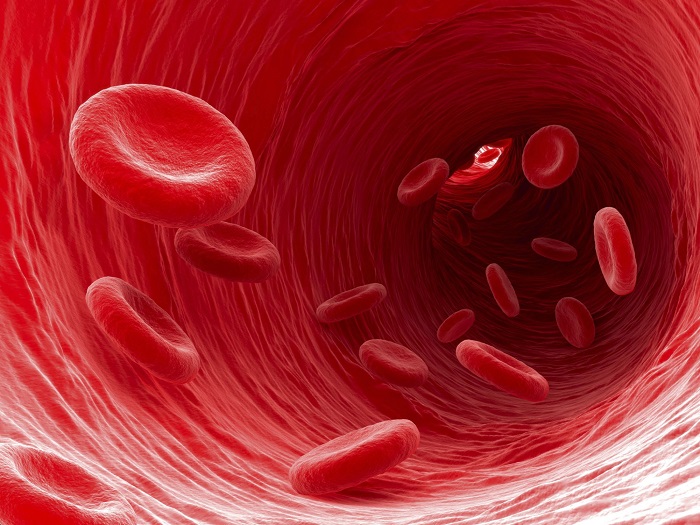 Tổng phân tích tế bào máu