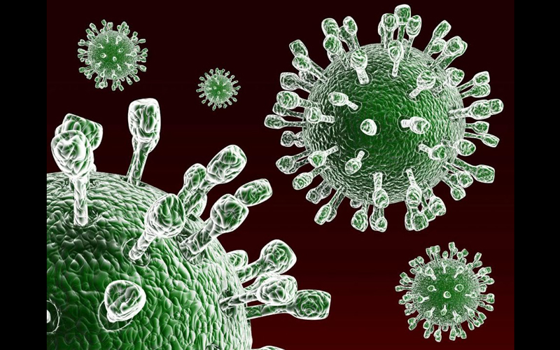 Virus Rota là một trong những nguyên nhân hàng đầu gây nên bệnh tiêu chảy nguy hiểm ở trẻ nhỏ