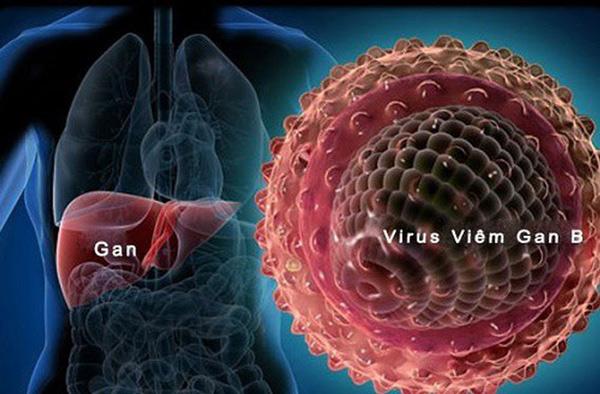  Viêm gan B do virus HBV gây ra ảnh hưởng đến gan