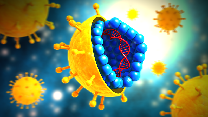 Các virus HBV, HDV đều gây nguy hiểm cho sức khỏe con người