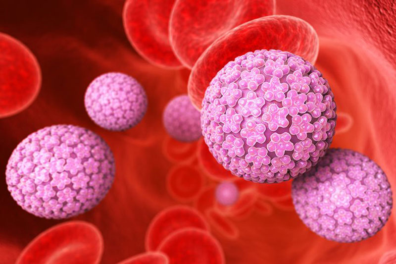 Virus HPV là gì? Có nguy hiểm không?