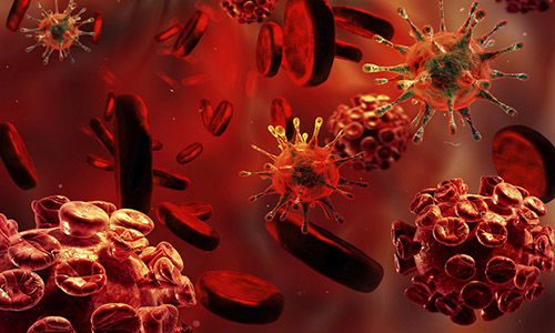 Xét nghiệm HBV đặc biệt cần thiết trong chẩn đoán và điều trị viêm gan B