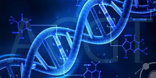 xét nghiệm ADN Hà Nội tại MEDLATEC chính xác, bảo mật cao