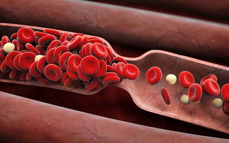 Phân tử lipid đóng vai trò quan trọng trong quá trình đông máu
