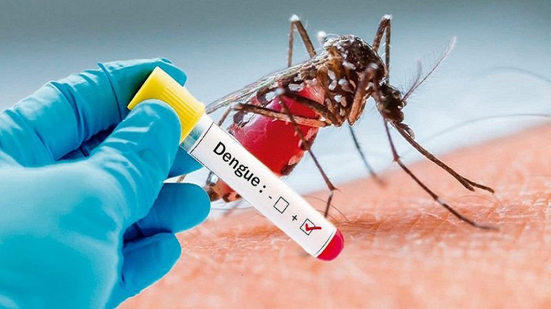 Làm xét nghiệm máu để biết có nhiễm sốt xuất huyết dengue hay không