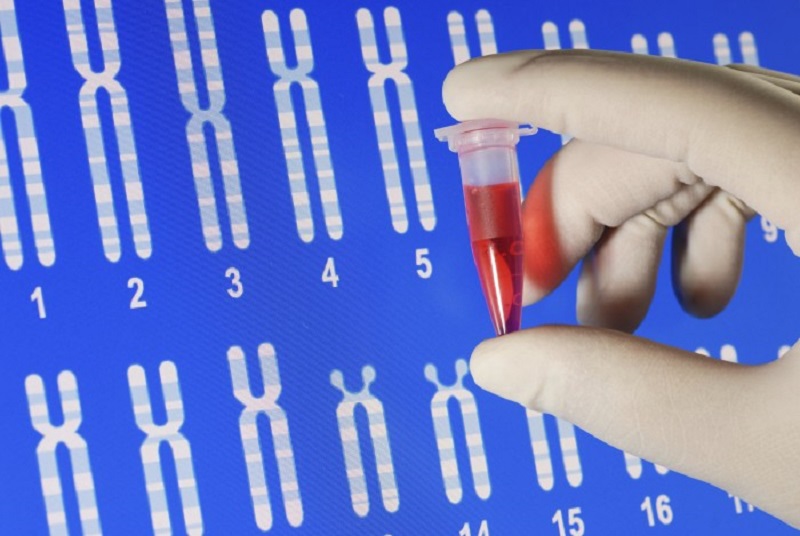 Xét nghiệm di truyền là phương pháp để phân tích gen