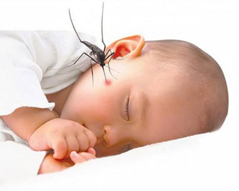 Dị ứng do côn trùng chích thường được gặp ở trẻ em