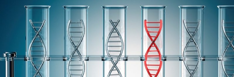 Xét nghiệm gen cho biết nguy cơ có thể mắc phải ung thư do yếu tố di truyền