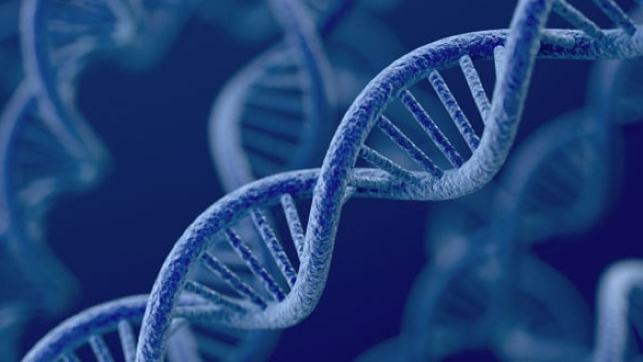 Xét nghiệm gene ung thư - bước đột phá “giải mã” các gene ung thư tiềm ẩn trong cơ thể 