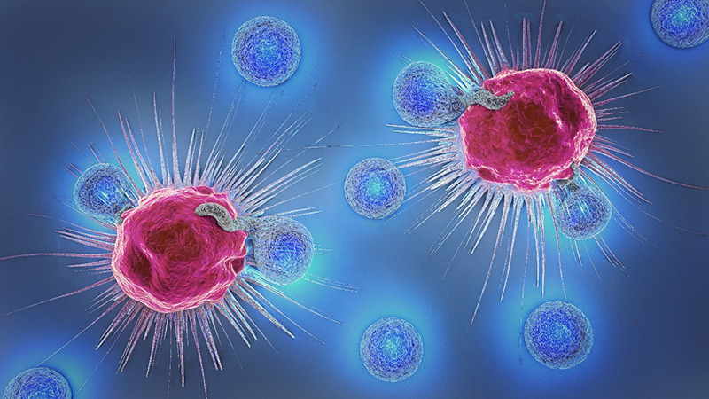 Tế bào NK là vũ khí sắc bén tiêu diệt các tế bào ung thư, các vi khuẩn, virus xâm nhập từ bên ngoài vào cơ thể