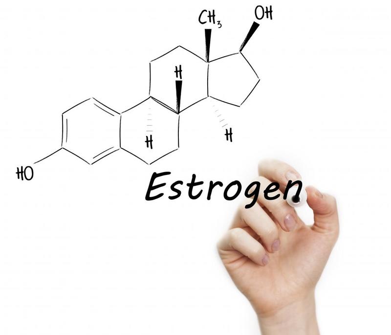 Estrogen là hormone sinh sản quan trọng của nữ giới