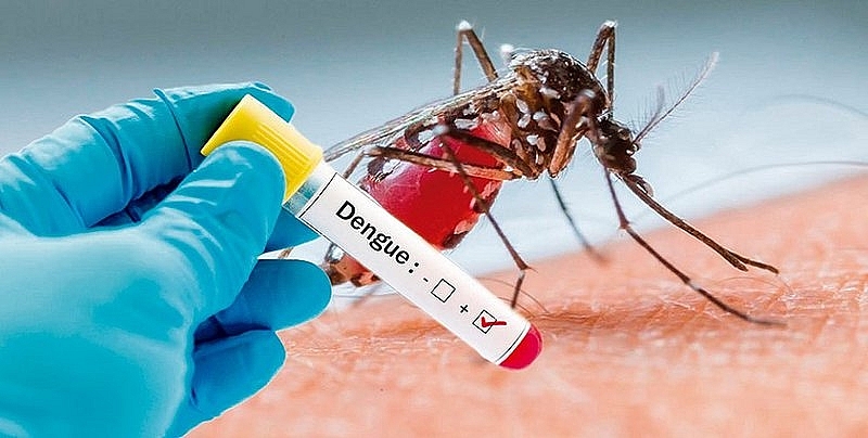 Xét nghiệm sốt xuất huyết chẩn đoán kháng nguyên của virus Dengue