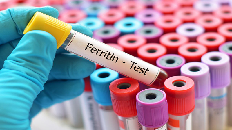 Xét nghiệm Ferritin có ý nghĩa cảnh báo mức sắt trong máu thấp để có biện pháp cân bằng