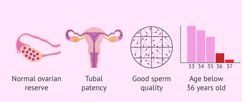 Yếu tố ảnh hưởng đến khả năng thụ thai khi thực hiện bơm tinh trùng