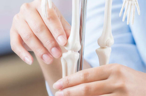 Các bài đăng được gắn thẻ rỗng tủy là gì