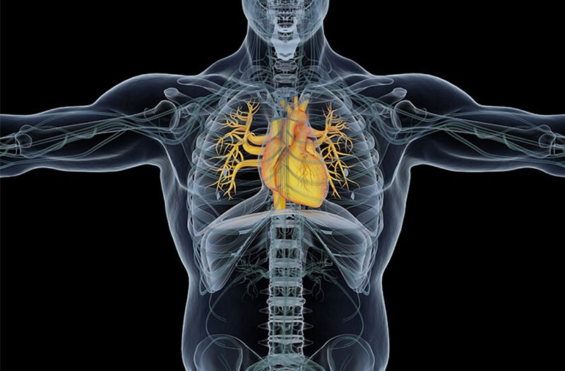 Tìm hiểu về chụp cộng hưởng từ tim để phát hiện bệnh tim sớm