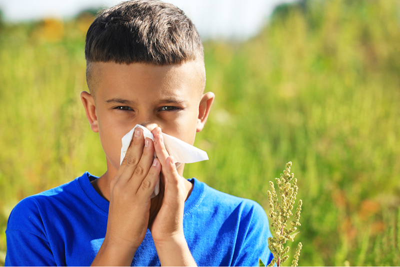 Dấu hiệu nhận biết khi bị viêm mũi dị ứng có sốt không 