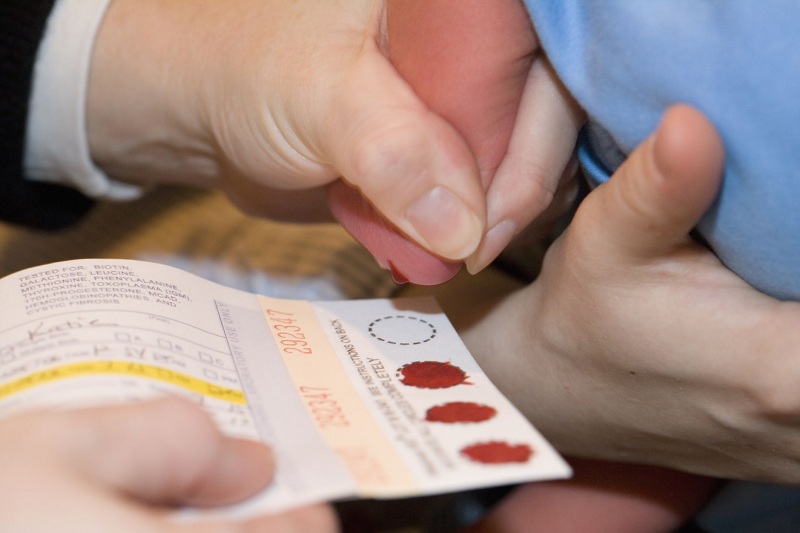 Các chỉ số xét nghiệm máu trẻ sơ sinh liên quan đến việc gì trong quá trình sàng lọc sơ sinh?