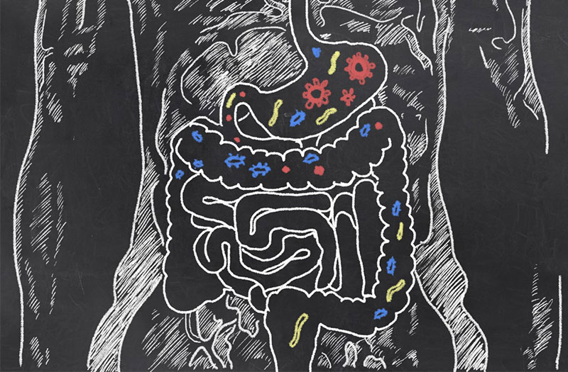 Secretin hormone có tác động như thế nào đến tiêu hóa?
