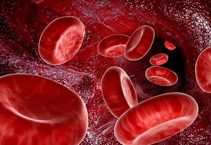Thiếu máu là gì và nguyên nhân chủ yếu gây ra tình trạng thiếu máu?
