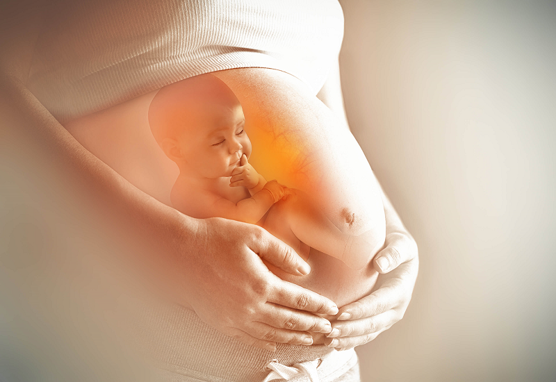 Nấm Candida là tác nhân chính gây nấm phụ khoa ở phụ nữ mang thai?
