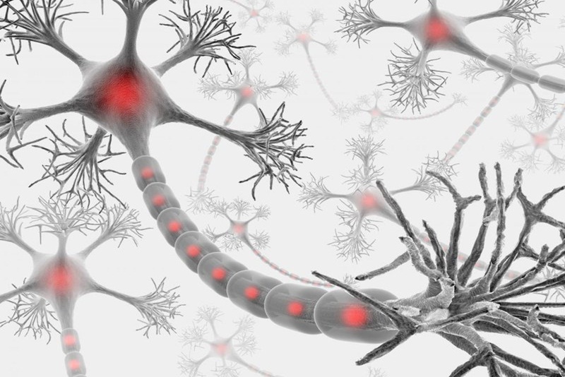 Tìm hiểu viêm dây thần kinh là gì và vai trò trong cơ thể