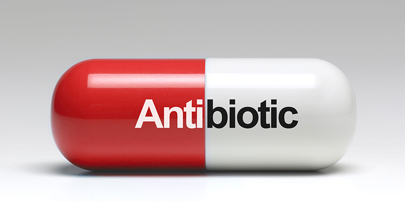 Những loại thuốc kháng sinh nào được chỉ định sử dụng cho nhiễm khuẩn đường hô hấp?
