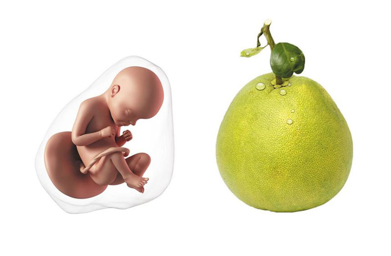 Những điều thú vị về việc em bé trong bụng có mở mắt không bạn nên biết