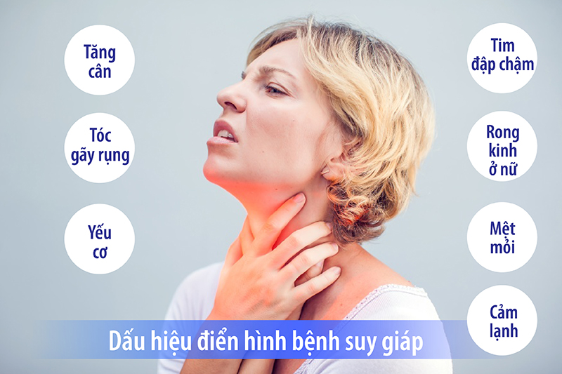 Các triệu chứng bệnh tuyến giáp thường gặp và cách nhận biết