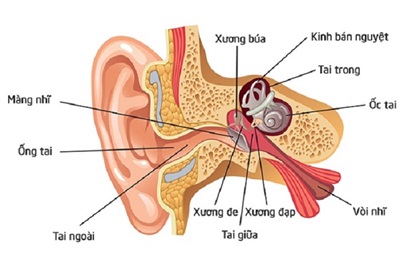 Phương pháp điều trị và phòng ngừa