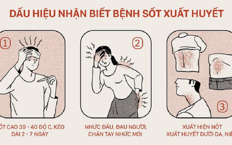 Các triệu chứng khác của sốt xuất huyết ra máu kinh là gì?
