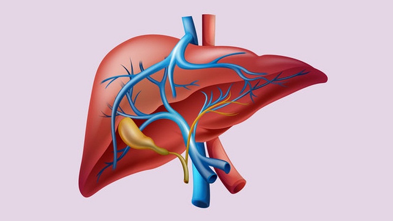 Virus HBV có đặc điểm gì?
