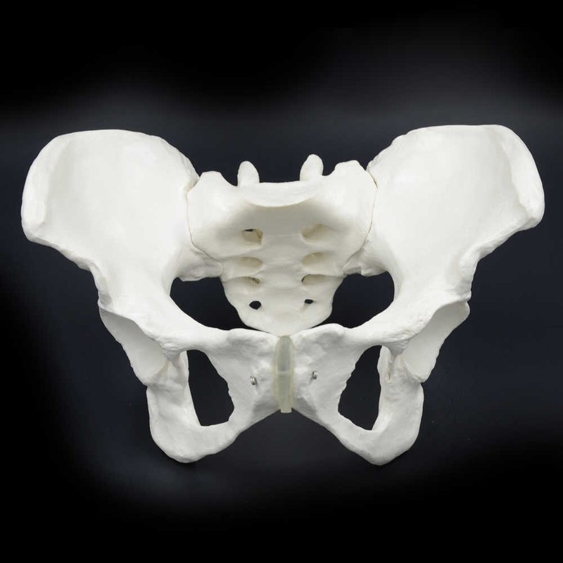 What is the purpose of getting an X-ray of the pelvic bones?