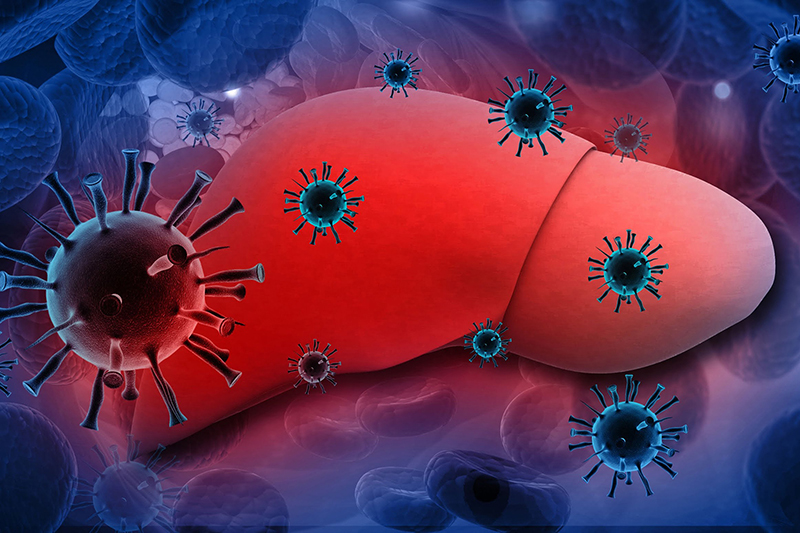 Vi rút viêm gan B có thể là nguyên nhân gây ra bệnh u gan lây nhiễm không?
