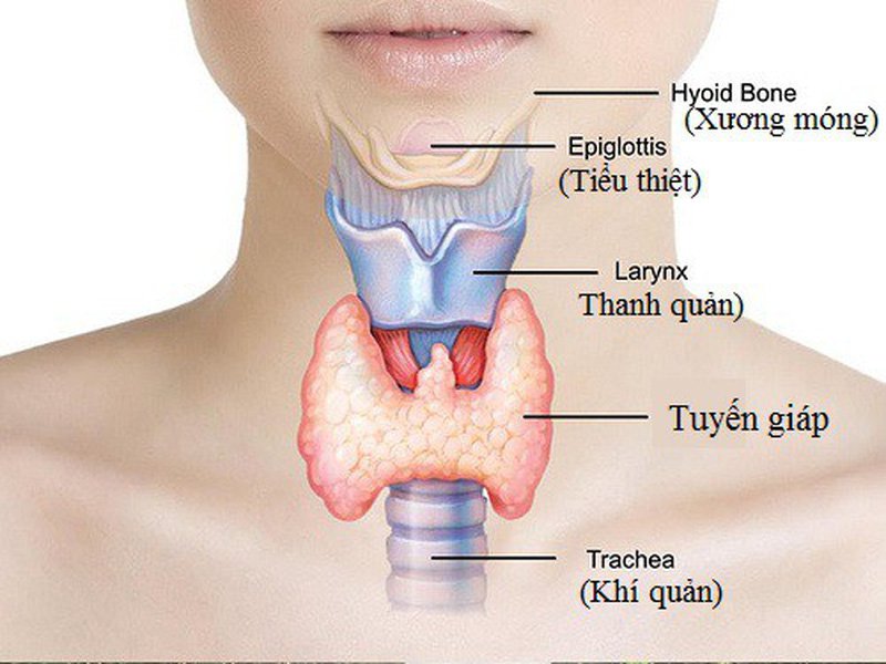 Các thông số chẩn đoán thông qua xét nghiệm máu tuyến giáp thường như thế nào?
