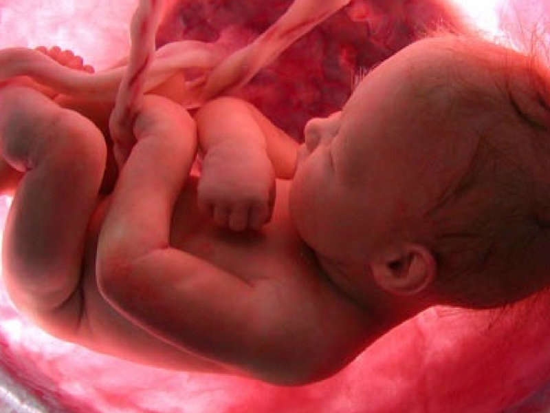 Có những phương pháp xét nghiệm nào để chẩn đoán có thai ngoài việc sử dụng que thử thai?
