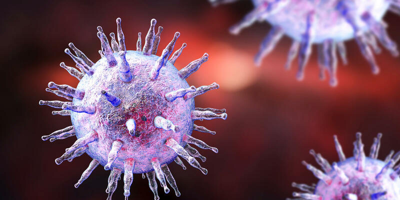 Ebv là xét nghiệm gì mà cho kết quả xác định sự có mặt của virus EBV?