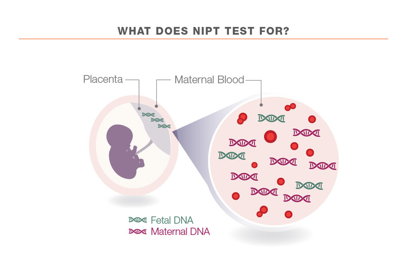 What are the differences between the NIPT test and the nuchal translucency measurement?