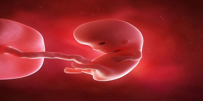 Kiểm tra bằng hình ảnh siêu âm thai nhi 9 tuần tuổi để biết thông tin cụ thể