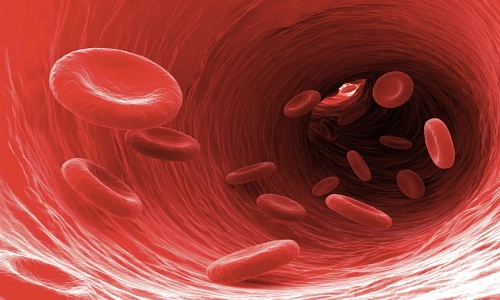 Tìm hiểu về chỉ số xét nghiệm nhiễm trùng máu 