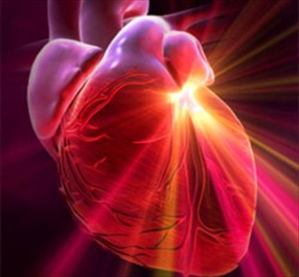 Thịt đỏ và mỡ có tác dụng gì đối với sức khỏe tim mạch của người bị bệnh?

