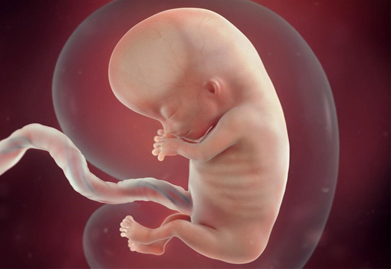 Tìm hiểu về suy dinh dưỡng bào thai và những biểu hiện của suy dinh dưỡng bào thai