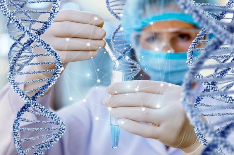 Xét nghiệm phản ứng chuỗi polymerase được thực hiện dựa trên sự sao chép ADN