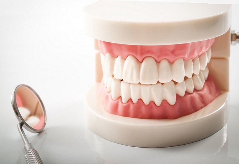  Răng sữa có mấy chân : Mẹo giữ cho răng sữa của trẻ khỏe mạnh
